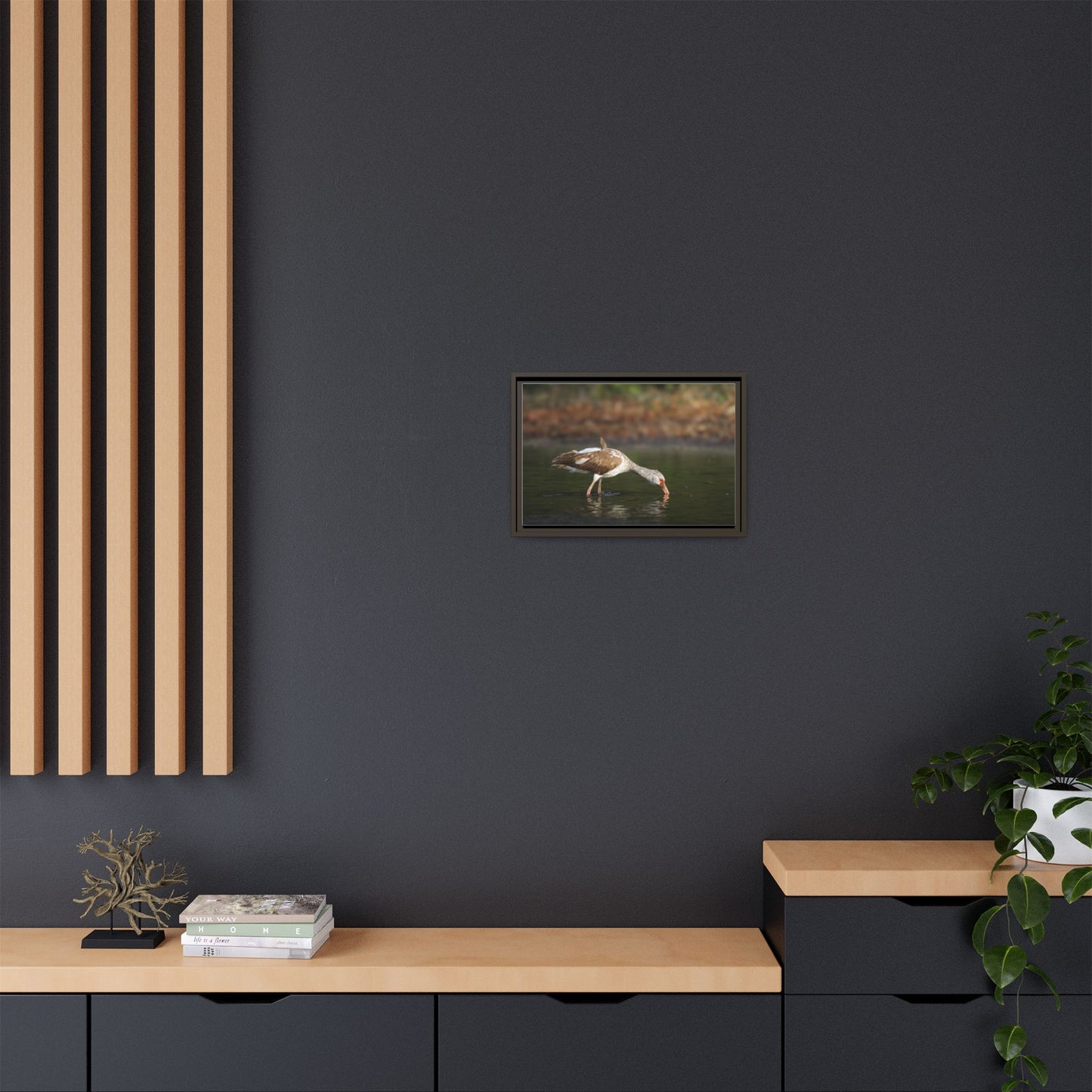 Ibis – Wildlife Canvas Print