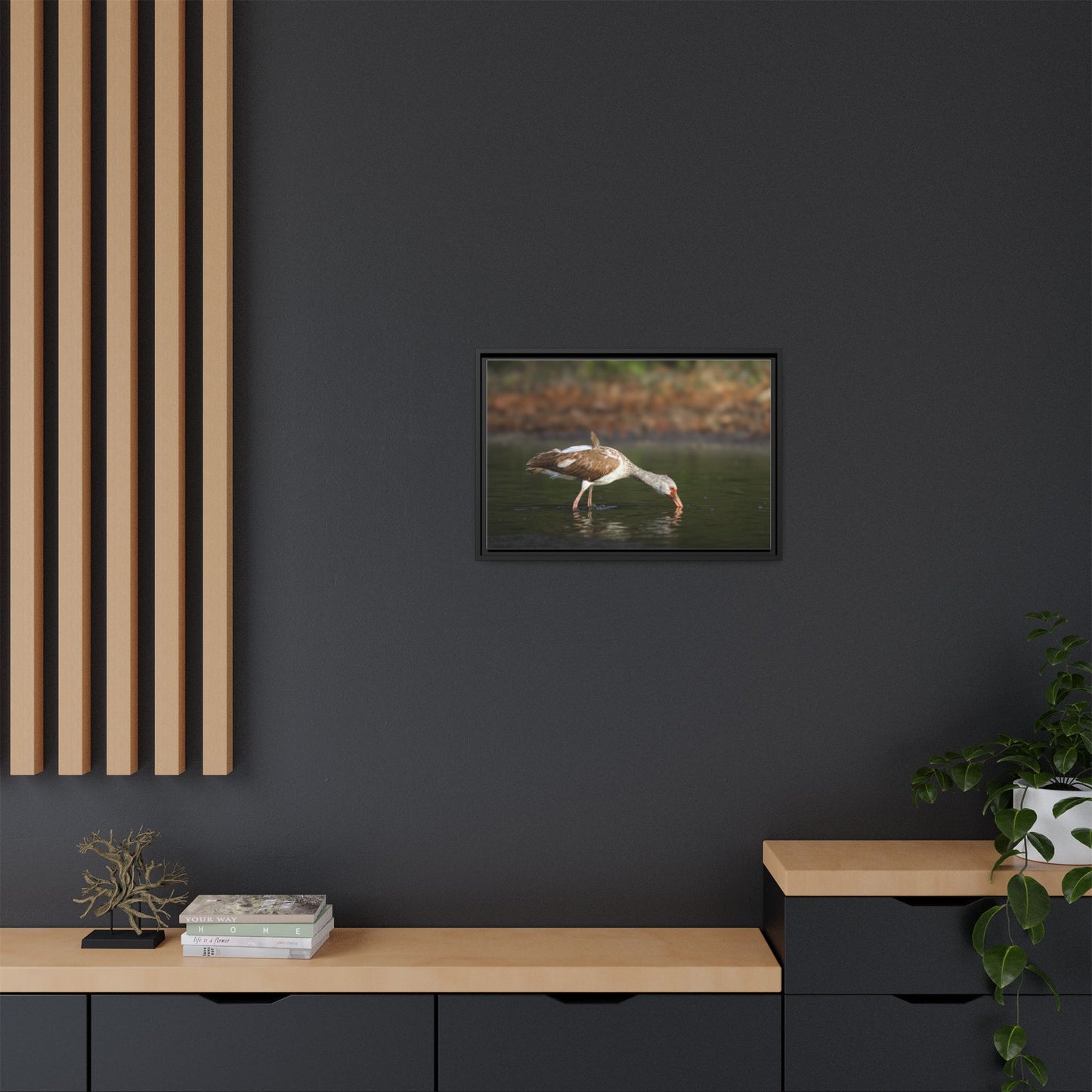 Ibis – Wildlife Canvas Print