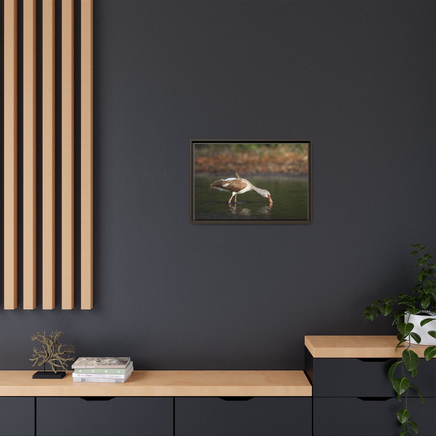 Ibis – Wildlife Canvas Print