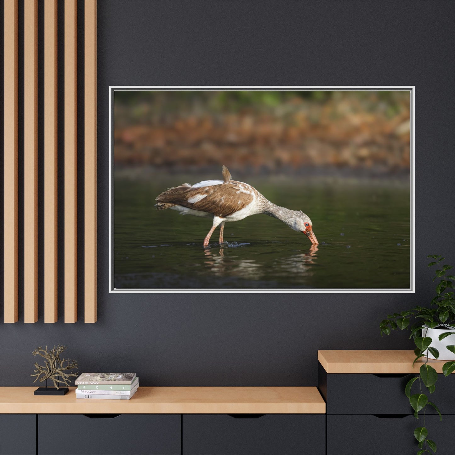 Ibis – Wildlife Canvas Print