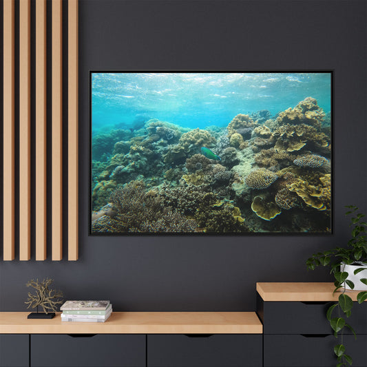 Down Under – Ocean Photography Canvas Wall Art