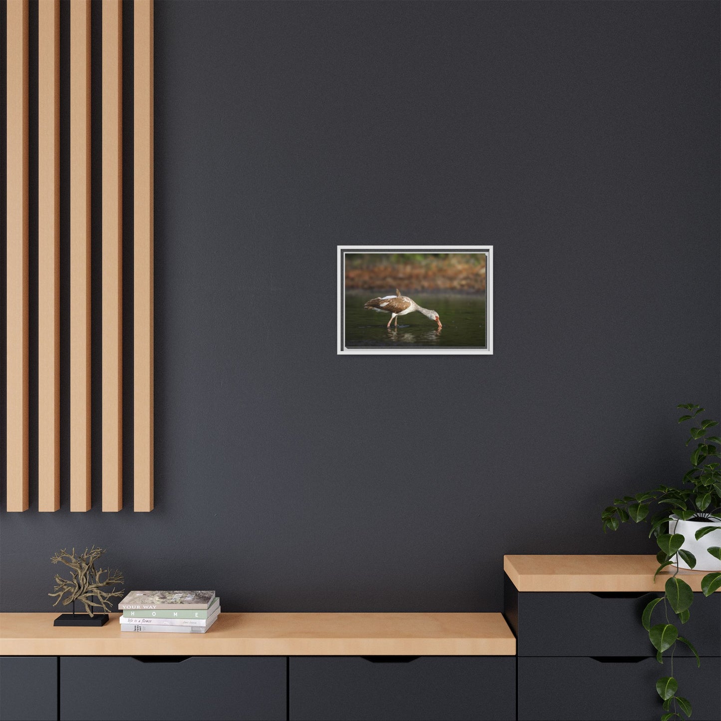 Ibis – Wildlife Canvas Print