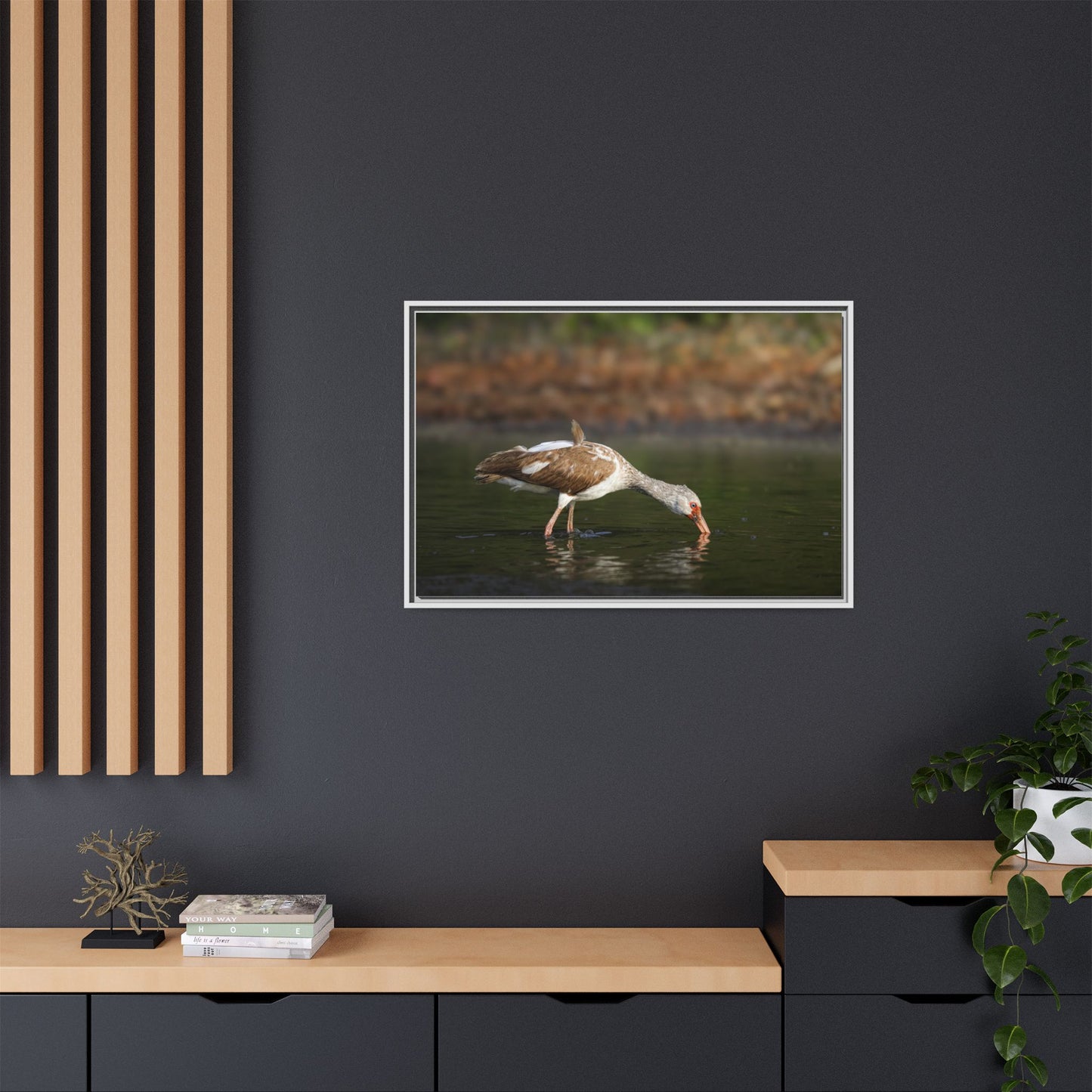 Ibis – Wildlife Canvas Print