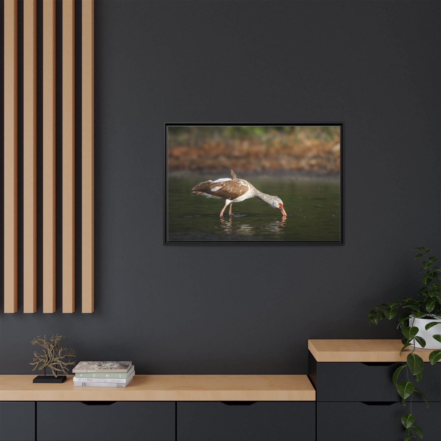 Ibis – Wildlife Canvas Print