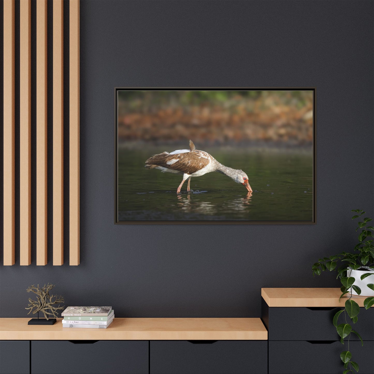 Ibis – Wildlife Canvas Print