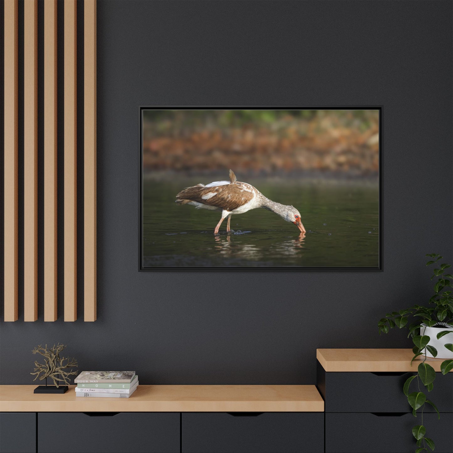 Ibis – Wildlife Canvas Print