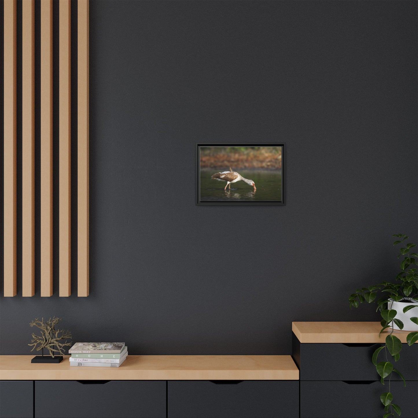 Ibis – Wildlife Canvas Print
