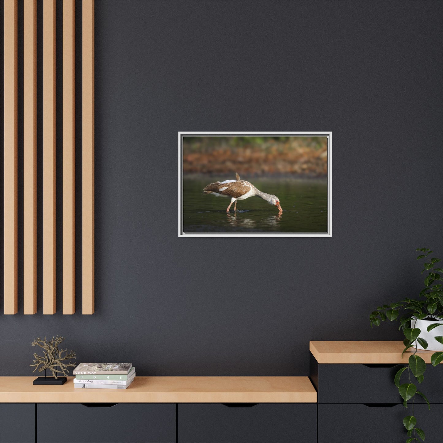 Ibis – Wildlife Canvas Print