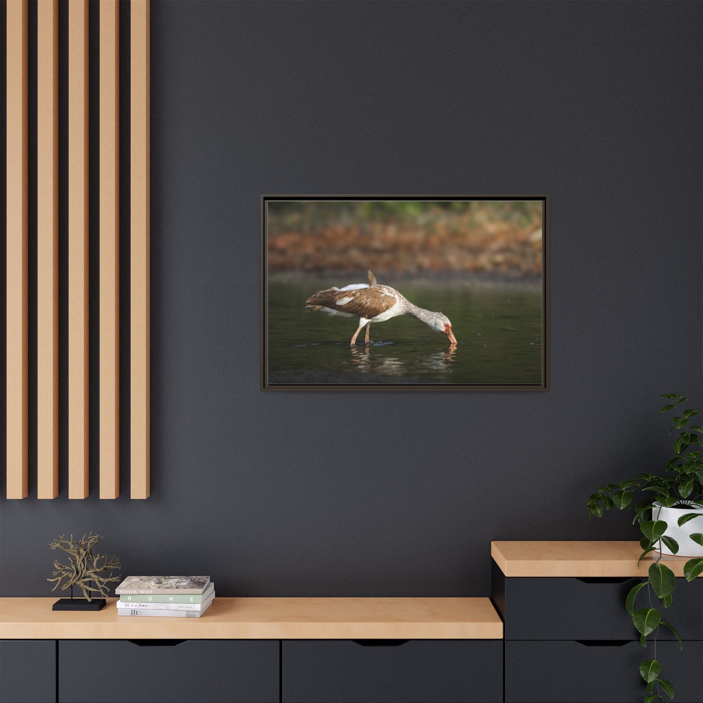 Ibis – Wildlife Canvas Print