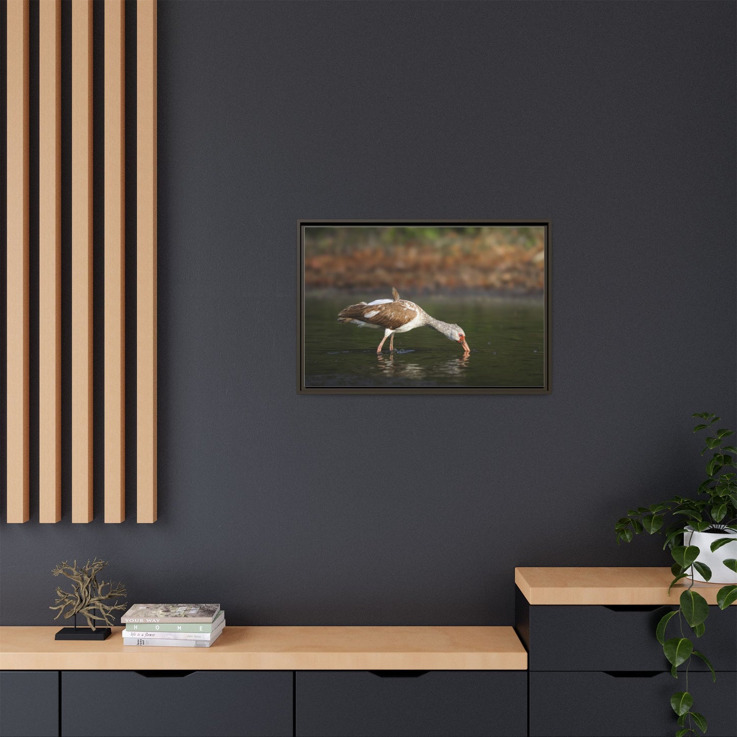 Ibis – Wildlife Canvas Print