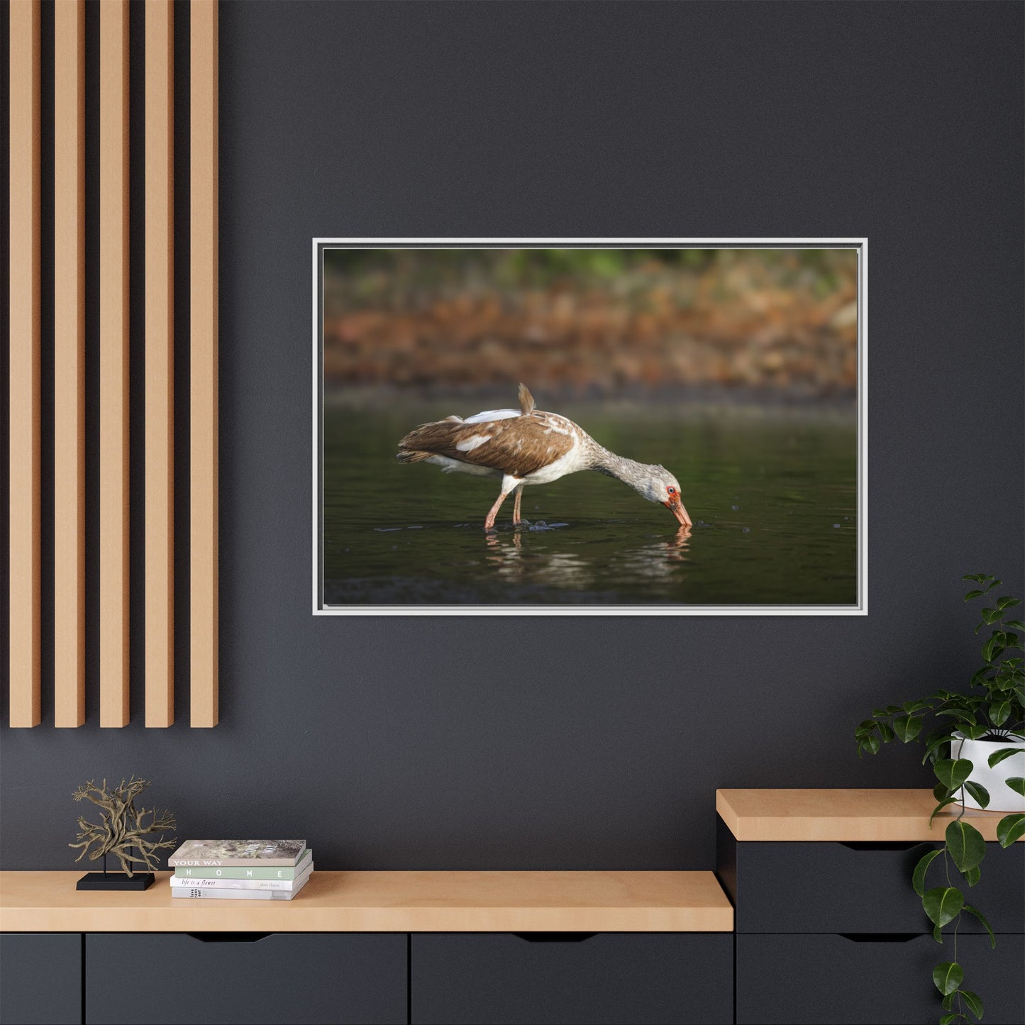 Ibis – Wildlife Canvas Print
